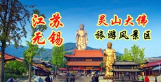 草大黑逼逼江苏无锡灵山大佛旅游风景区