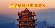 操骚婆