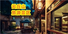 欧美大鸡巴用力操我视频