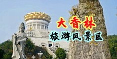 操骚逼精品hd视频中国浙江-绍兴大香林旅游风景区